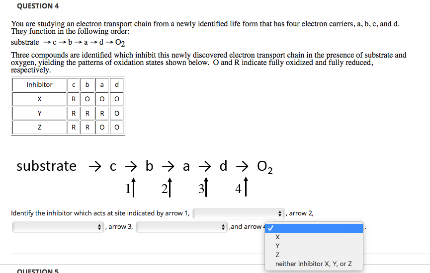 Solved: QUESTION 4 You Are Studying An Electron Transport | Chegg.com