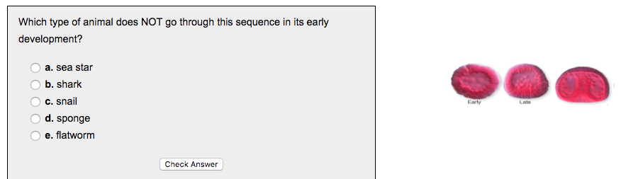 solved-what-combination-of-characteristics-do-all-animals-chegg