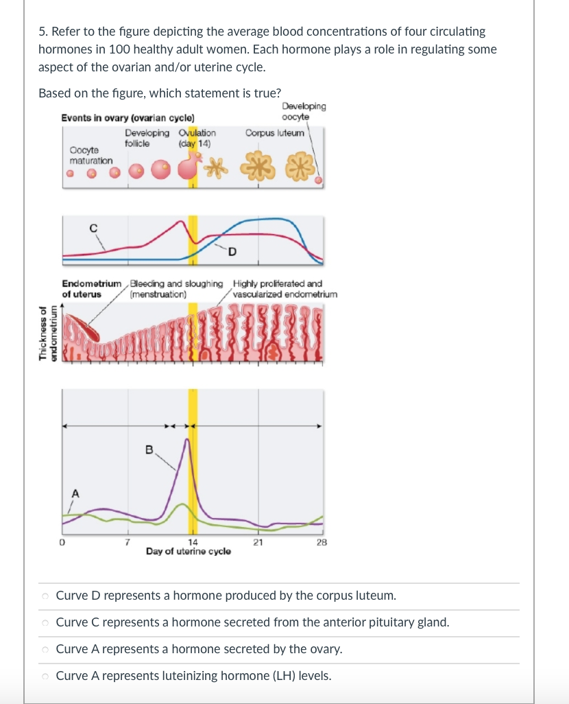 solved-4-a-tumor-in-a-leydig-cell-would-most-directly-chegg