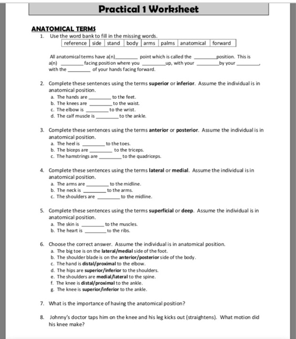 anatomical-terminology-worksheet-1-answers-black411-blog
