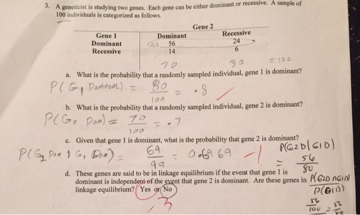 Solved A geneticist is studying two genes. Each gene can be | Chegg.com