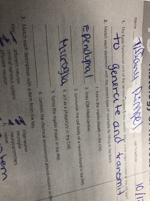 Solved Name 0 rantmi Lab Time/Date 1. The basic functional