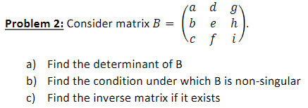 Solved Problem 2: Consider Matrix B=⎝⎛abcdefghi⎠⎞. A) Find | Chegg.com