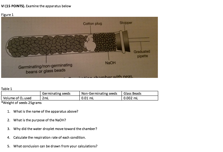 Solved VI (15 POINTS). Examine the apparatus below Figure 1