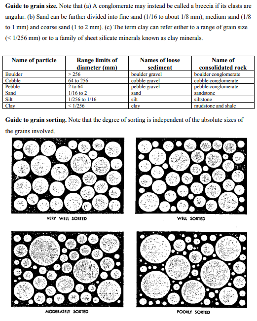 Solved Sample Sorting Rock Name Clastic, Chemical or Organic