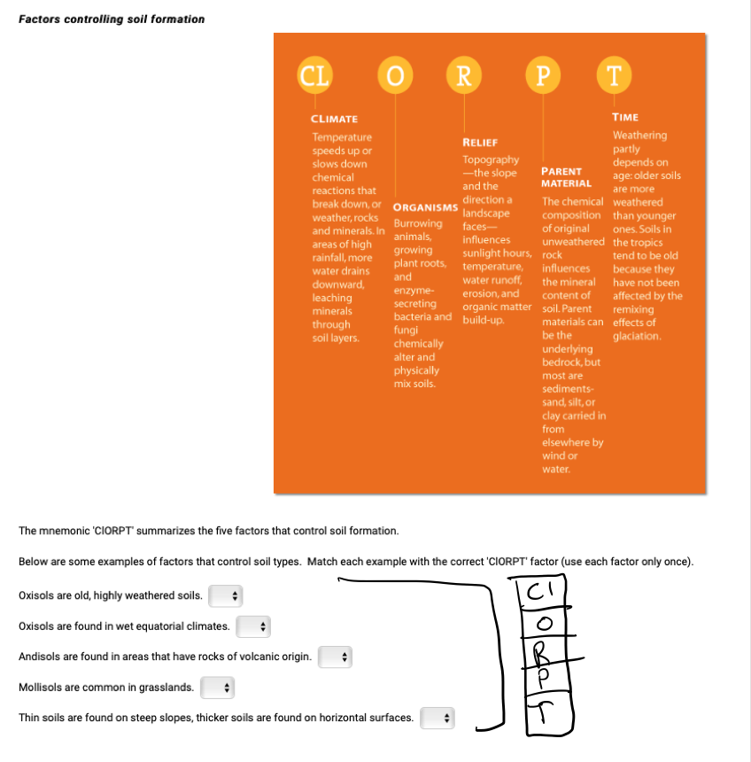 Solved Factors Controlling Soil Formation TIME CLIMATE | Chegg.com