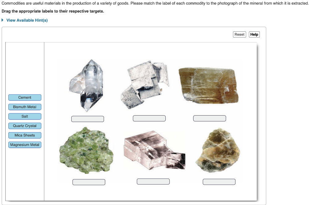 Solved Based on your work with lab specimens and the | Chegg.com