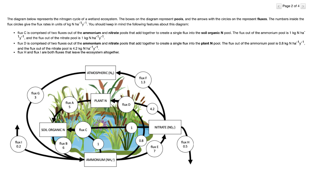 Nitrogen cycle fluxes (g N mm2 yr-') from wetlands classified according