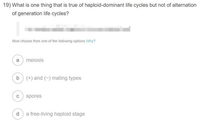 Solved: 13) Human Intestines Are Home To Hundreds Of Speci... | Chegg.com