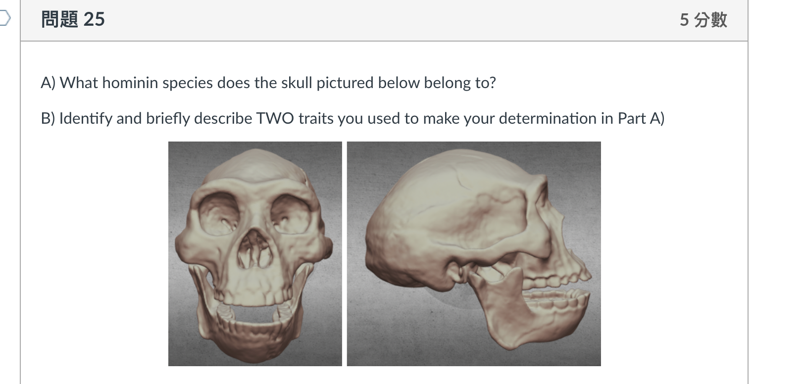 問題 25 5分數 A) What hominin species does the skull | Chegg.com