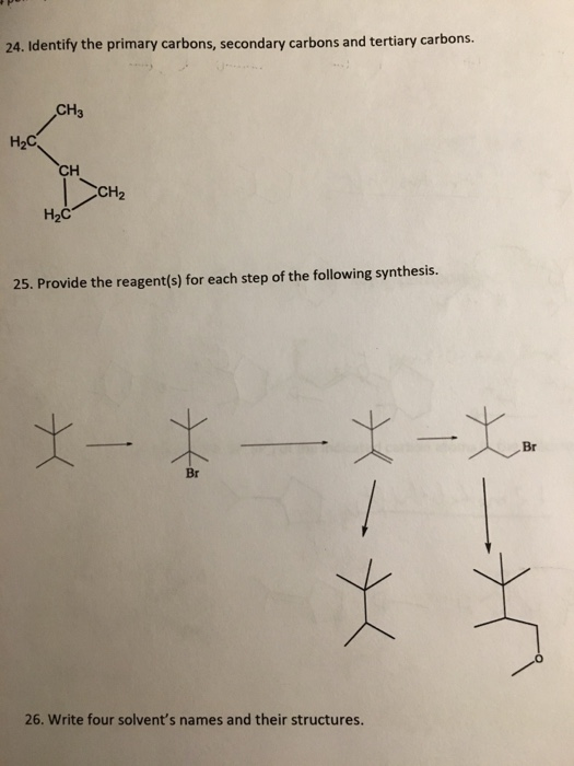 Solved 24. Identify the primary carbons, secondary carbons | Chegg.com