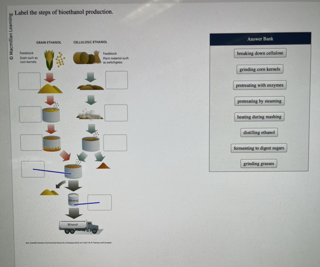 Bioethanol production