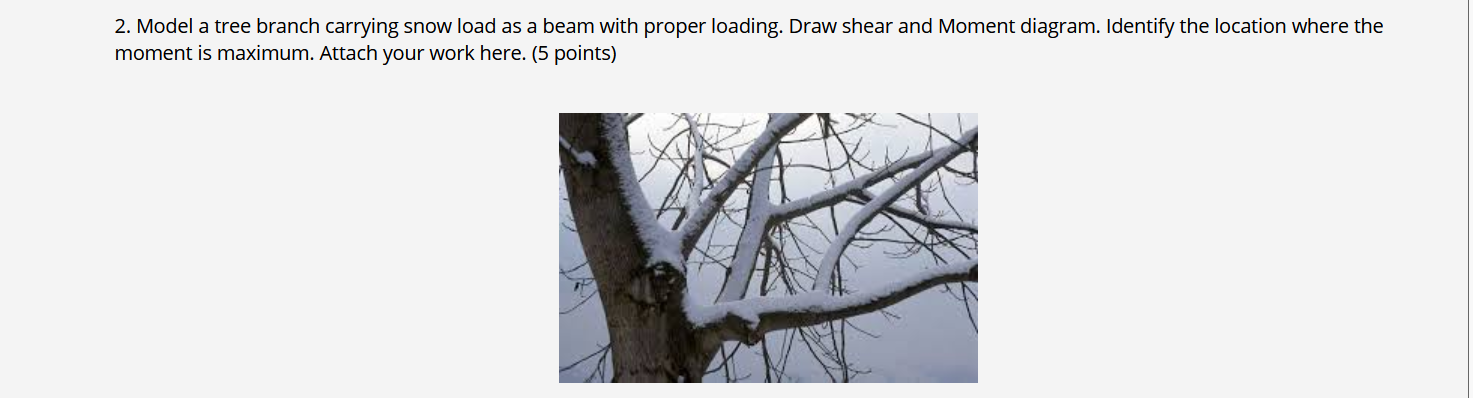 Solved 2. Model a tree branch carrying snow load as a beam | Chegg.com