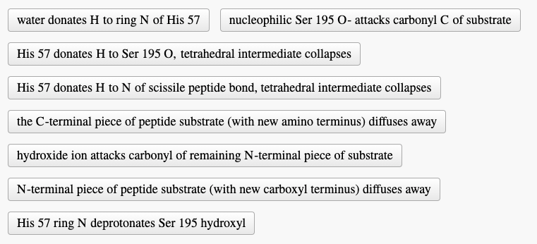 arrange the steps of the mechanism of chymotrypsin catalysis