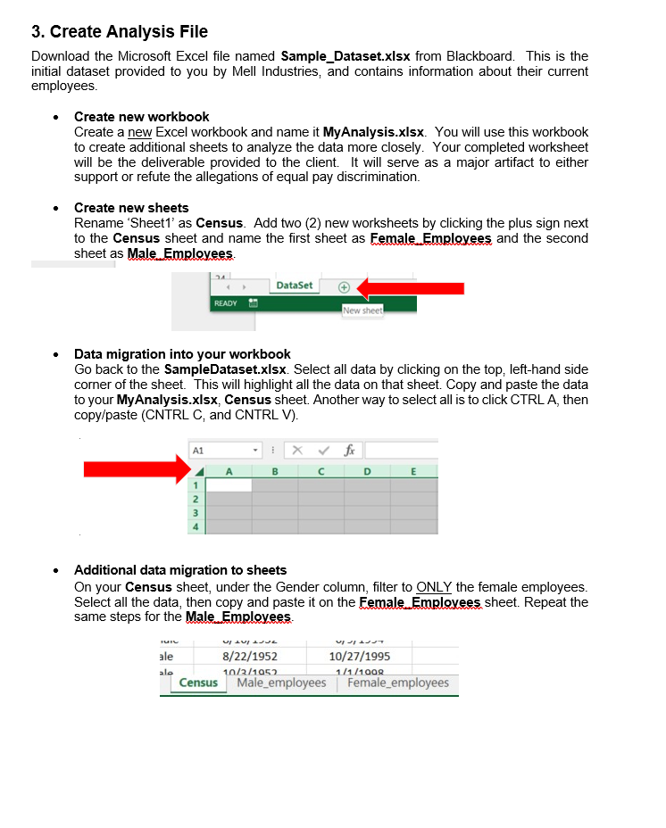 Activity: Analyse and Discuss Your Data