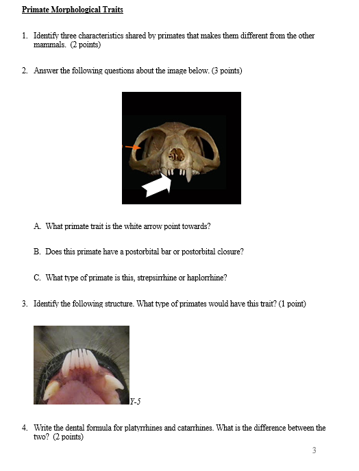 Solved Primate Morphological Traits 1. Identify three
