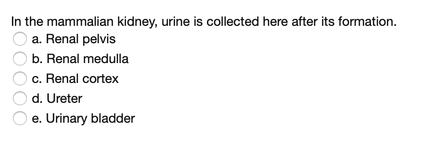 Solved In the mammalian kidney, urine is collected here | Chegg.com