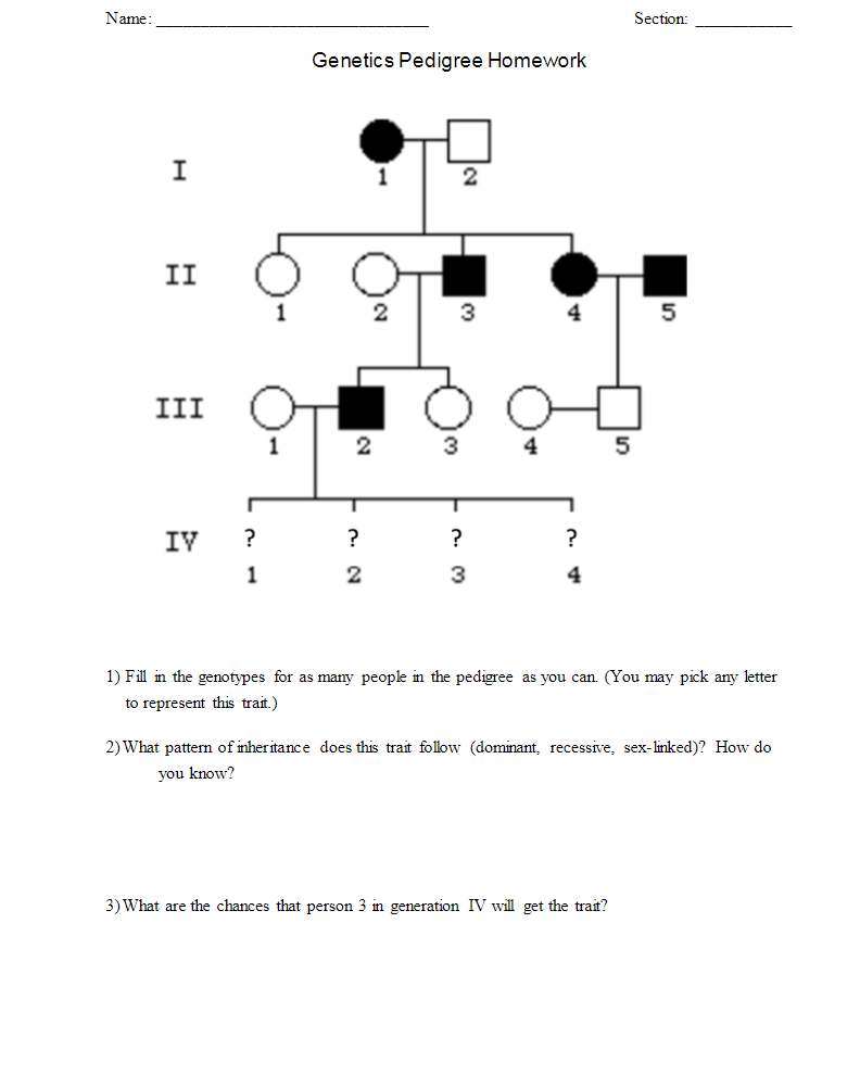 Solved Name Section: Genetics Pedigree Homework I 1 2 II 1 2 | Chegg.com