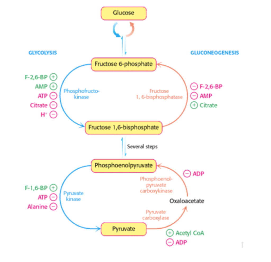 popular definition essay proofreading service for phd