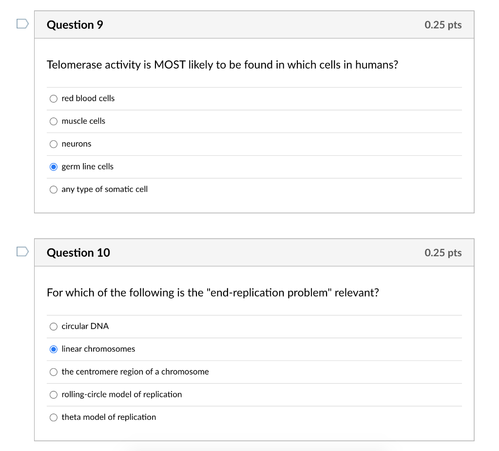 Solved Telomerase Activity Is Most Likely To Be Found In Chegg Com