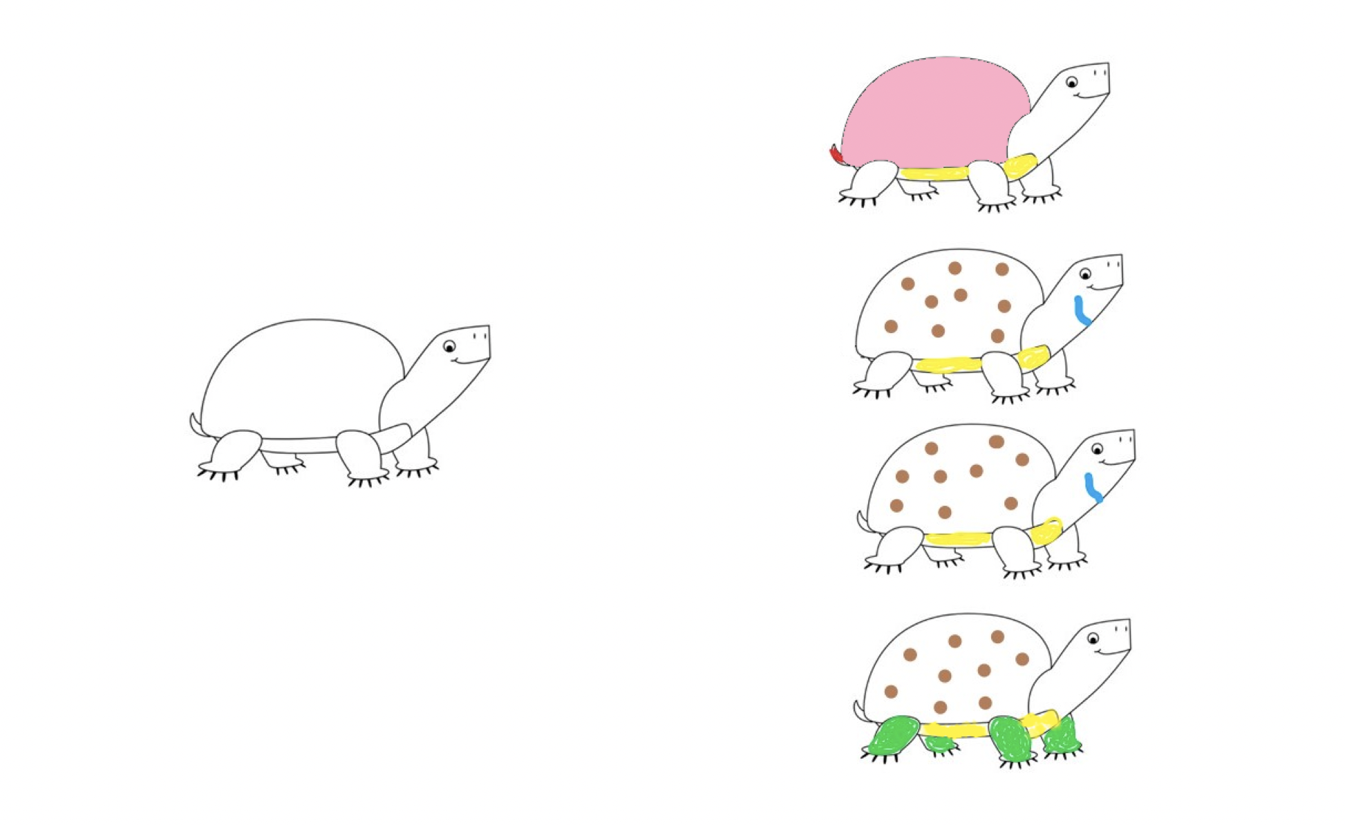 Solved Assume that the four living box turtle species on the | Chegg.com