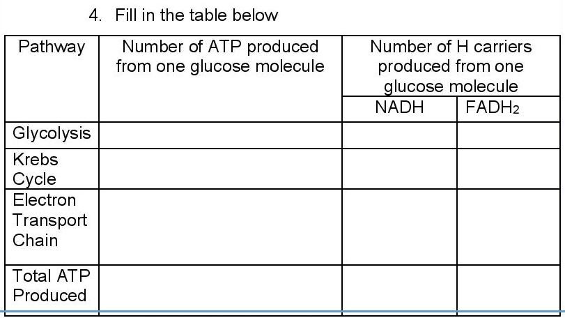 Solved 4. Fill in the table below Pathway Number of ATP | Chegg.com