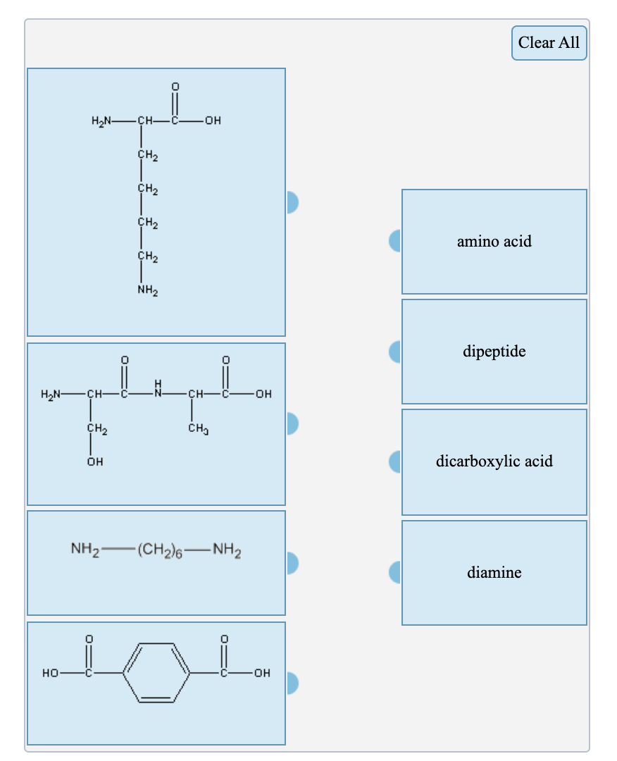 Solved Choose the amino acids from the list below that could | Chegg.com