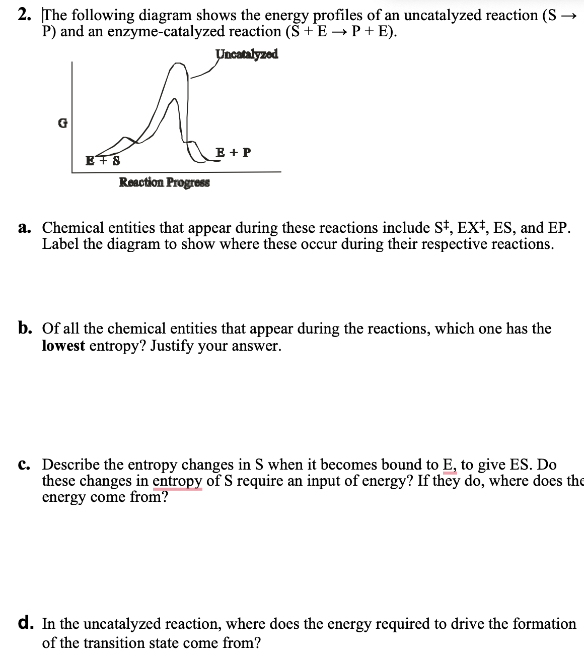 Solved 2. The following diagram shows the energy profiles of | Chegg.com