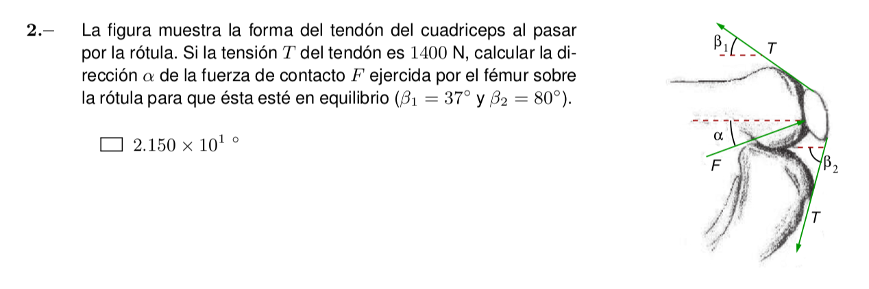 2.- \( \quad \) La figura muestra la forma del tendón del cuadriceps al pasar por la rótula. Si la tensión \( T \) del tendón