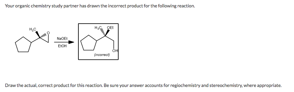 Solved Your organic chemistry study partner has drawn the | Chegg.com