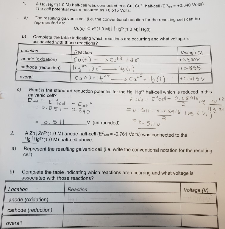 Solved A Hg Hg2 1 0 M Half Cell Was Connected To A Cu C Chegg Com