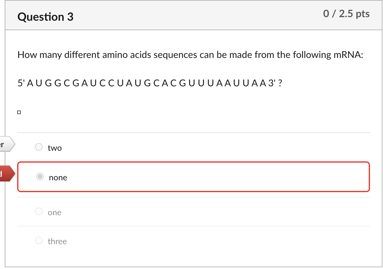 Solved Can someone explain why there are two amino acids in | Chegg.com