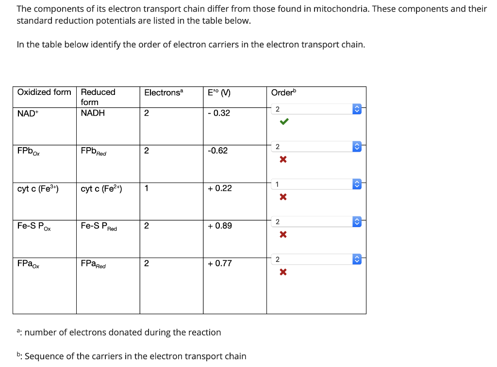 Solved The components of its electron transport chain differ | Chegg.com