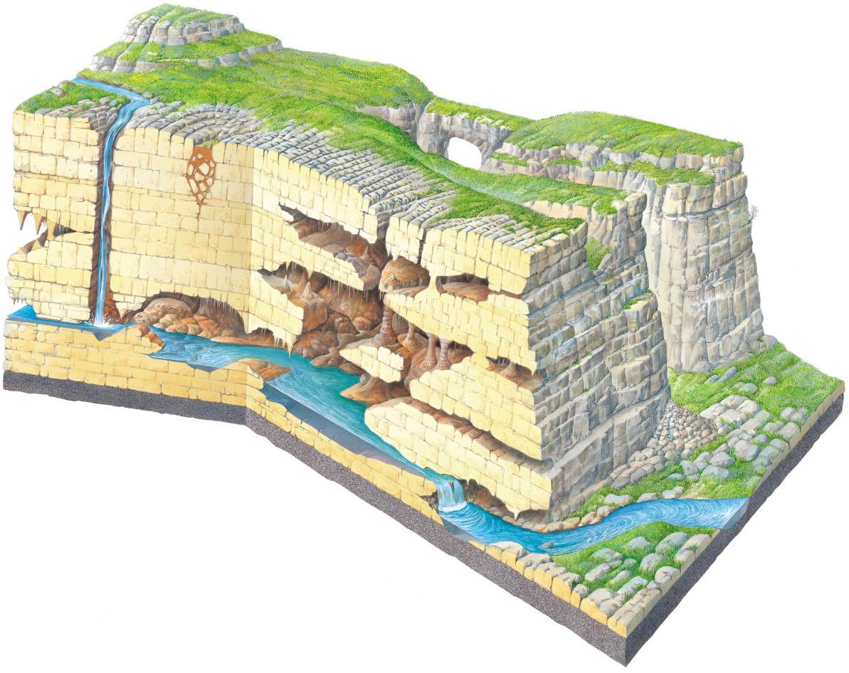 Solved The picture below depicts a multilevel cave. The dry | Chegg.com