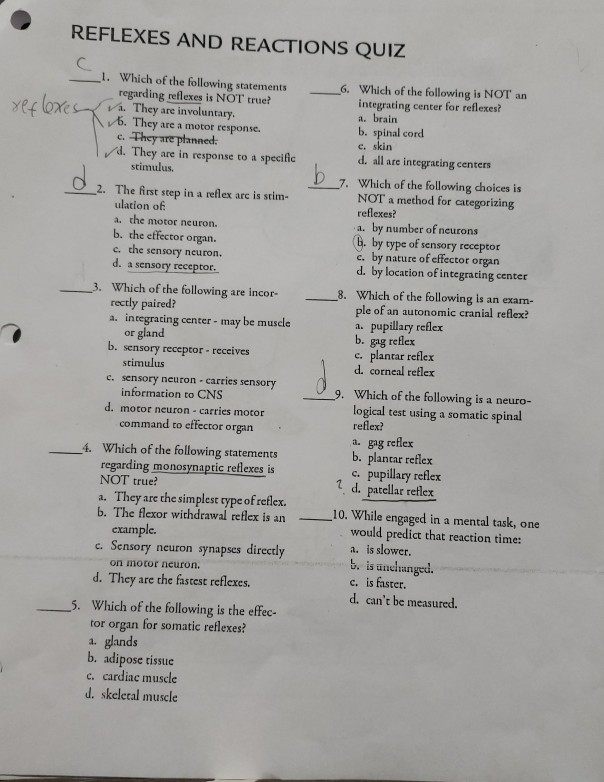 Solved Reflexes And Reactions Quiz C __1. Which Of The | Chegg.com Solved Reflexes And Reactions Quiz C __1. Which Of The | Chegg.com