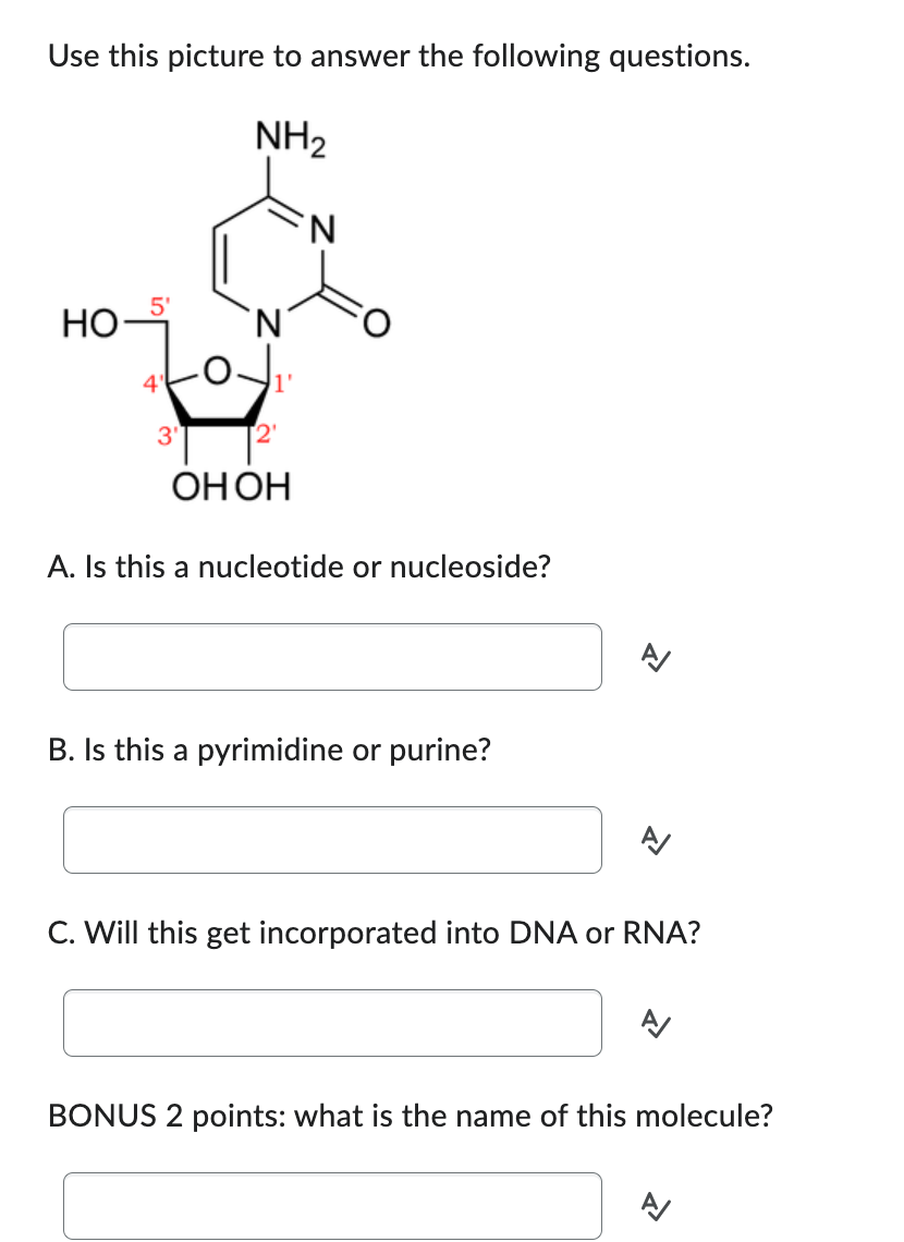 Solved Use this picture to answer the following questions. | Chegg.com