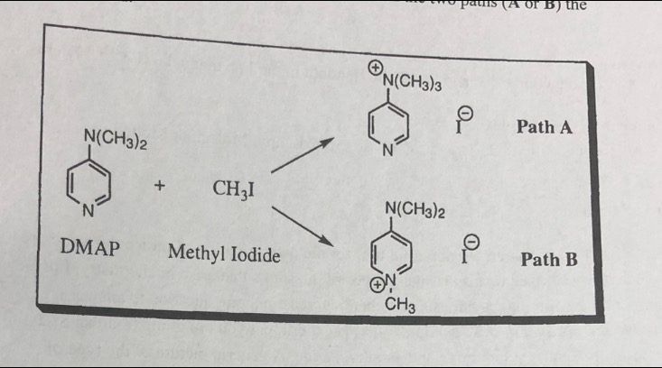 Solved What Would The 13C And 1H NMR Spectra DMAP Look Like | Chegg.com