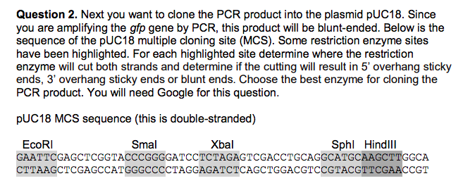 Solved Question 2. Next you want to clone the PCR product | Chegg.com