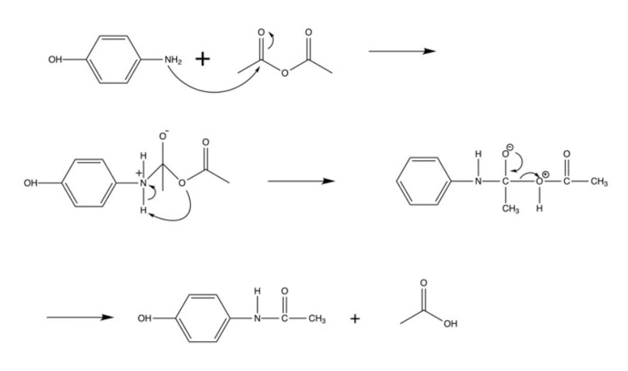 Solved During The Synthesis Of Acetaminophen From | Chegg.com