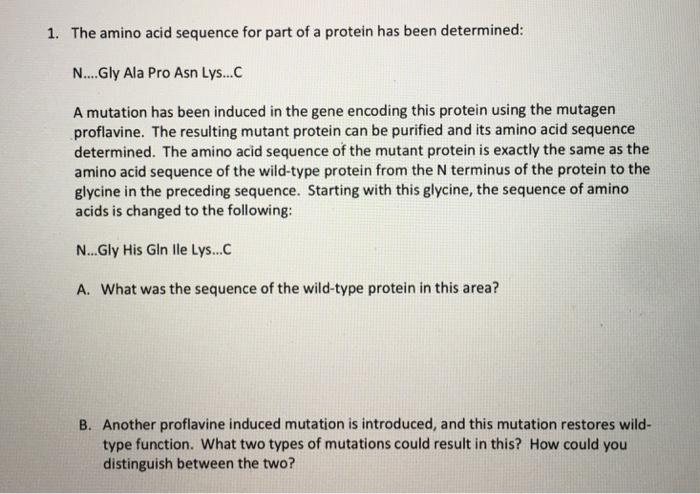 Solved 1. The amino acid sequence for part of a protein has | Chegg.com