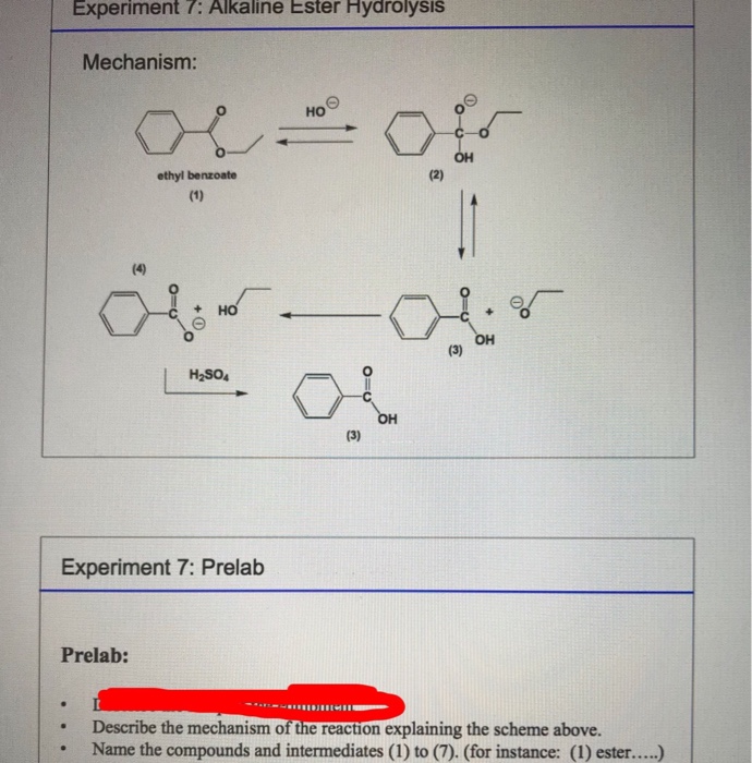 Solved Experiment 7 Alkaline Ester Hydrolysis Mechanism Ho