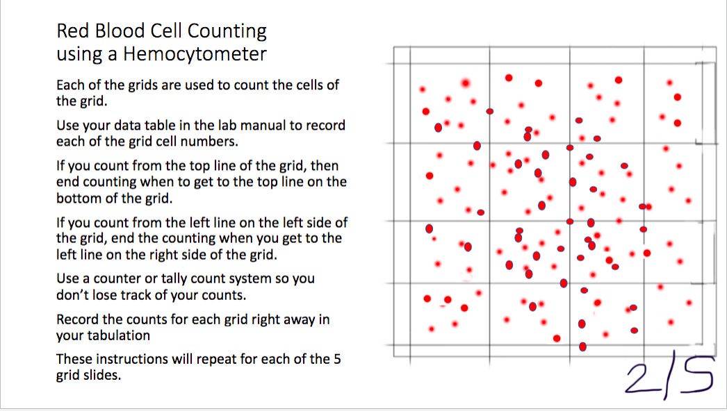 How to use clicker counter to quantify cells 
