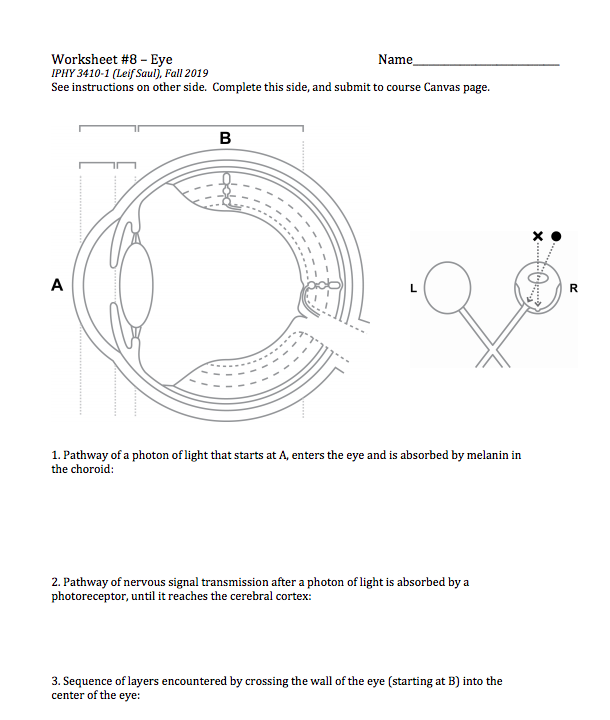 1. Pathway Of A Photon Of Light That Starts At A, 