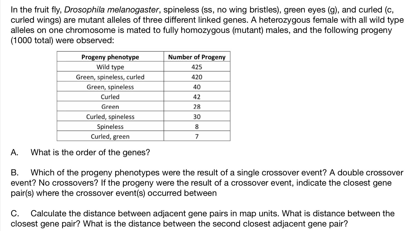 Solved In the fruit fly, Drosophila melanogaster, spineless | Chegg.com