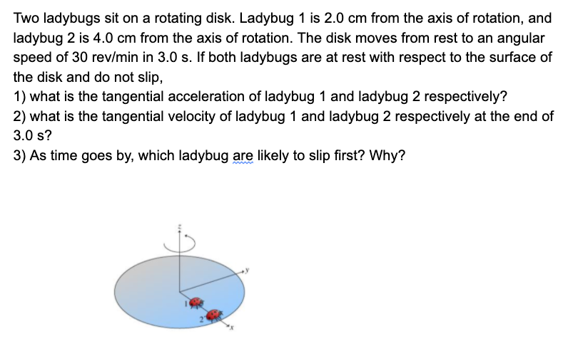 Two Ladybugs on a Rotating Disk – An Inquiry into Circular Motion and Forces