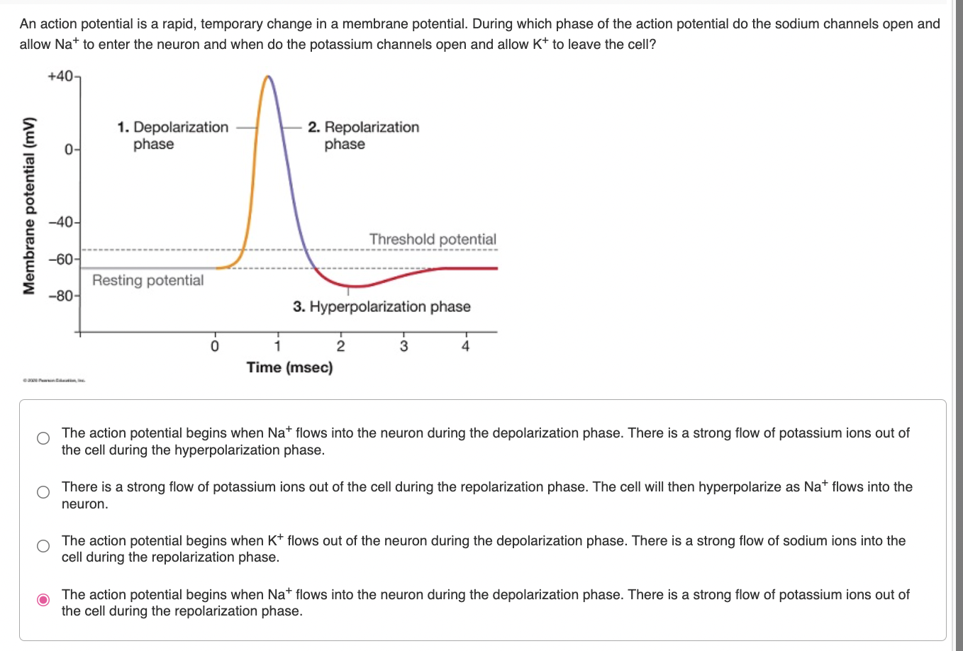 an action potential is a rapid sequence of changes involving depolarization and