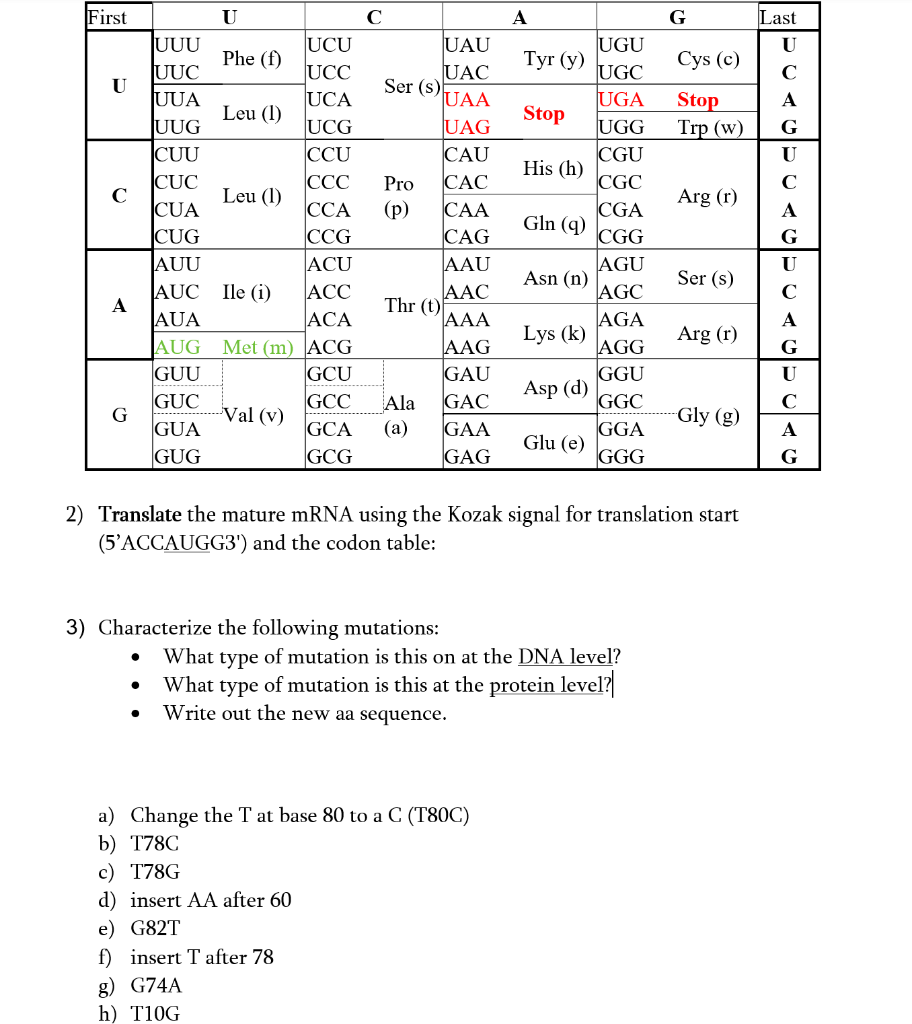 1) Transcribe the following gene using the following | Chegg.com