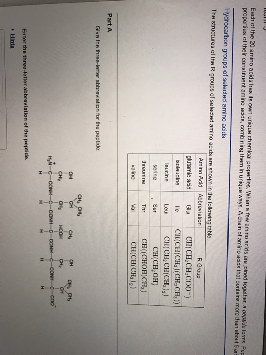 Solved Each of the 20 amino acids has its own unique