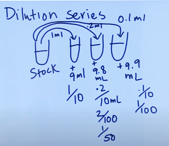 Solved 1. In the dilution series example, the person drew