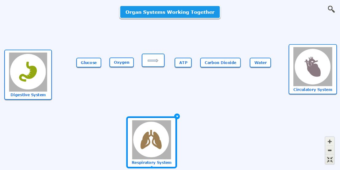 solved-learning-task-10-2-systems-working-together-use-chegg